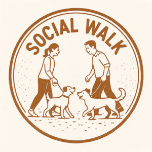 Social Walk - Gassi mit Pfiff August