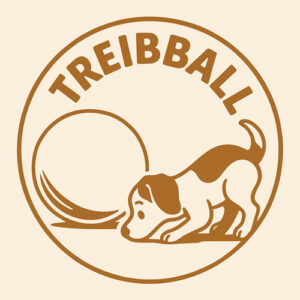 Treibball BallSpaß - September