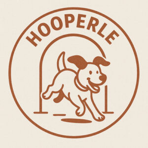 "Hooperle" - Hoopers Agility Anfänger August