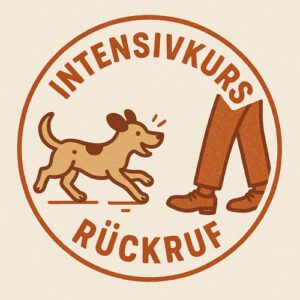 Intensivkurs: Rückruf – Kommen, wenn’s drauf ankommt