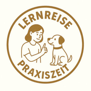 🐾 LernReise: PraxisZeit